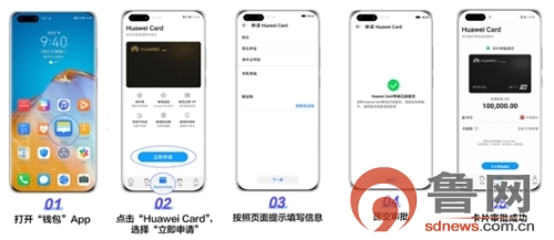 Huawei Cardȫų151